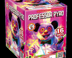 WINDA PROFESSOR PYRO - CASE 12/1